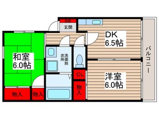 メゾンディアスの物件間取画像